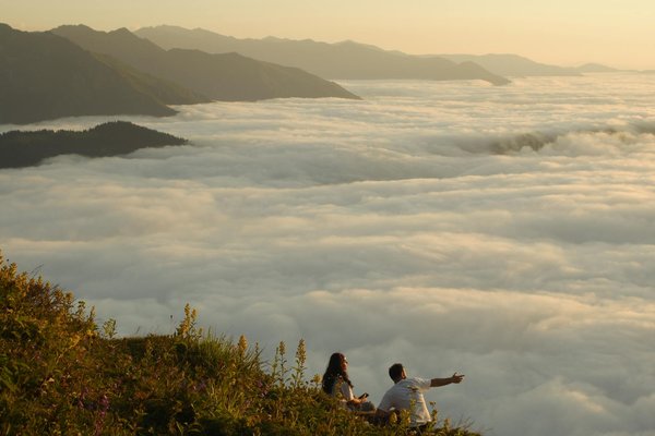 How can you plan a guided tour of the historic abbeys in Northumberland?