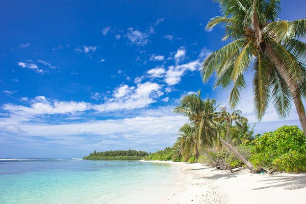 What are the best UK campsites for learning about traditional UK farming practices?