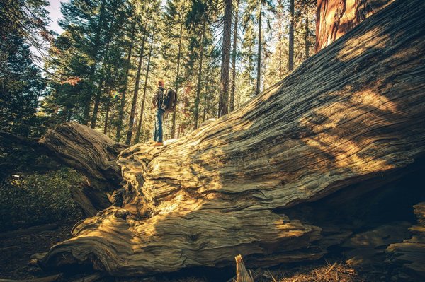 How to find and camp in remote UK locations using GPS coordinates?