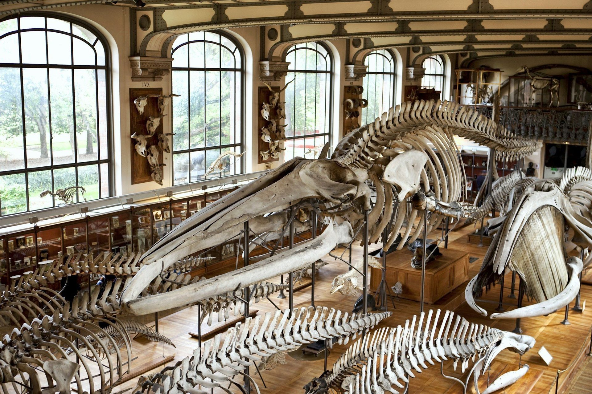What are the best free museums to visit in Cardiff? - Belohorizonte Insider